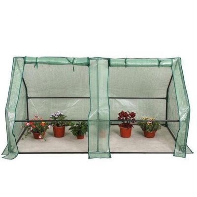 Metalen frame PE Draagbare Outdoor Mini Garden Walk-In kas voor plantenbehoeften