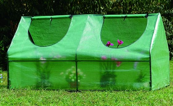 Metalen frame PE Draagbare Outdoor Mini Garden Walk-In kas voor plantenbehoeften