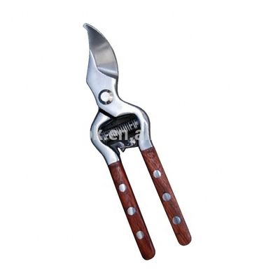 Stainless Steel Bypass Pruner met houten handvat Afwerking Spiegel Gepolijst