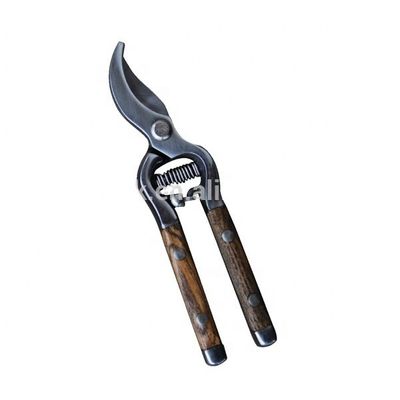 Stainless Steel Bypass Pruner met houten handvat Afwerking Spiegel Gepolijst